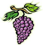 Grape.jpg