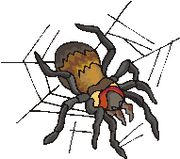 Spider.jpg
